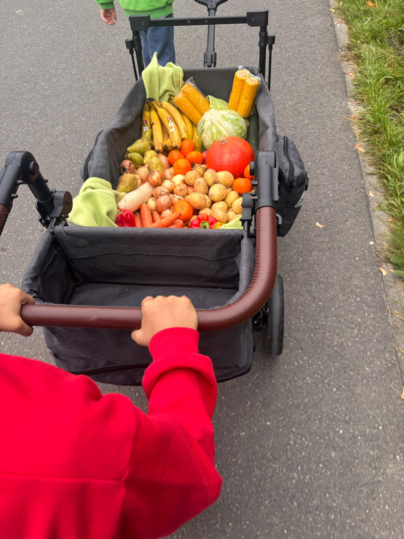 Bollerwagen mit Gemüse und Obst